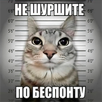 Аватара пользователя
